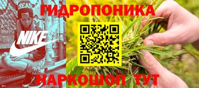 кокс Аргун