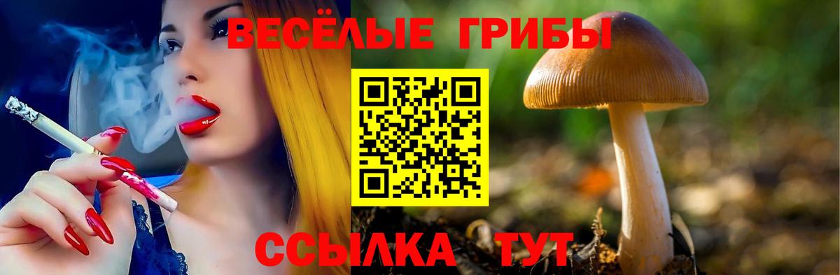 Галлюциногенные грибы Cubensis  Псилоцибиновые грибы MAGIC MUSHROOMS  Вход с VPN  Апатиты 